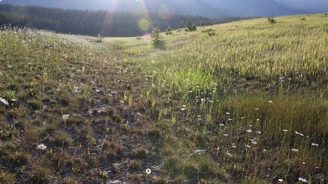 一对情侣在山间草地上聊天视频素材