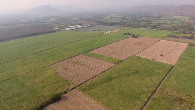 甘蔗农场已经投资种植园，鸟瞰图视频素材