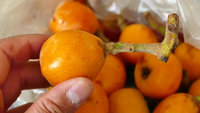 夏季水果，梅子，橙汁水果，日本枸杞，夏季水果，视频素材