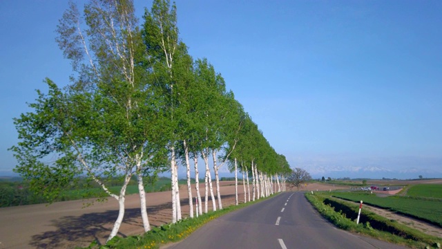 公路(北海道北)视频素材