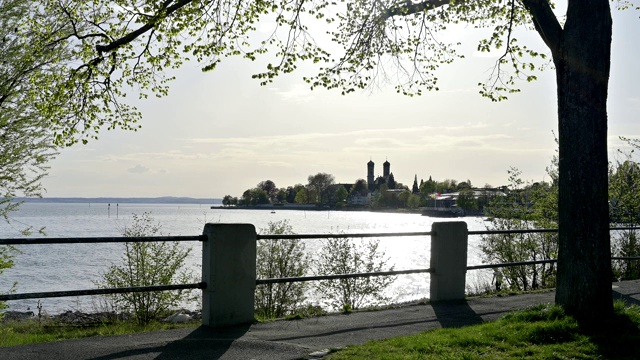 树在弗里德里希港，康斯坦茨湖，Baden-Württemberg，德国视频素材