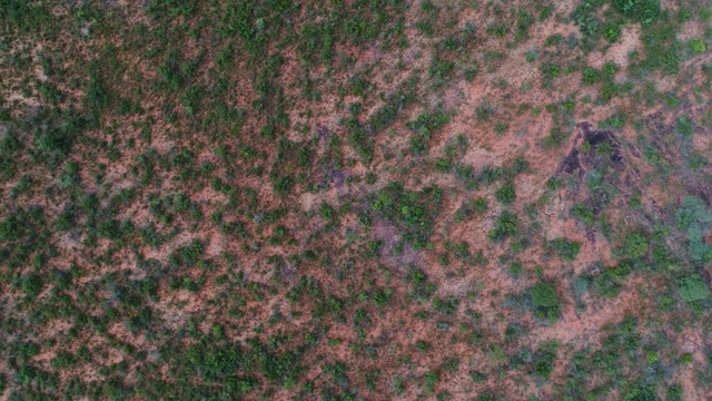 巴西托坎廷斯塞拉多的景观高角度视图视频素材