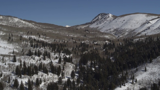 空中上升的树在山谷附近的雪覆盖的山脉/阿斯彭格罗夫，美国犹他州视频素材