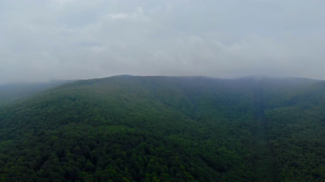 景观全景。晨雾在山上，树木在雾中视频素材