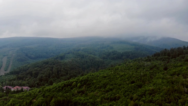 山上的晨雾寒冷的晨雾在山上的森林里视频素材