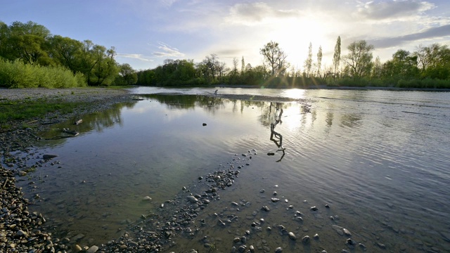 鹅卵石海滩在阿尔根河口，Langenargen, Bodensee, Baden-Württemberg，德国视频素材