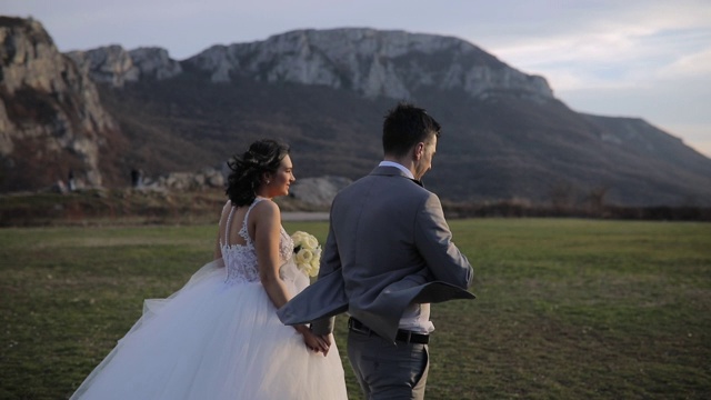 一对新婚夫妇一起在草地上散步视频素材