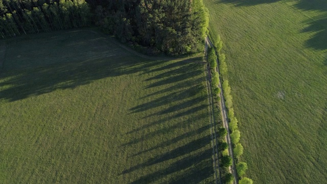 鸟瞰图，绿树成荫的土路穿过农田，春天。Mecklenburg-Vorpommern、德国、欧洲。视频素材