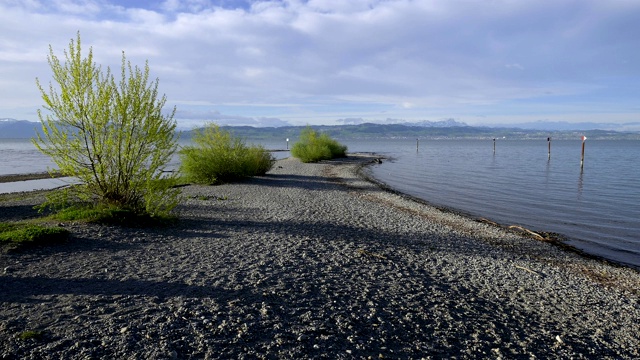 鹅卵石海滩在阿尔根河口，Langenargen, Bodensee, Baden-Württemberg，德国视频素材