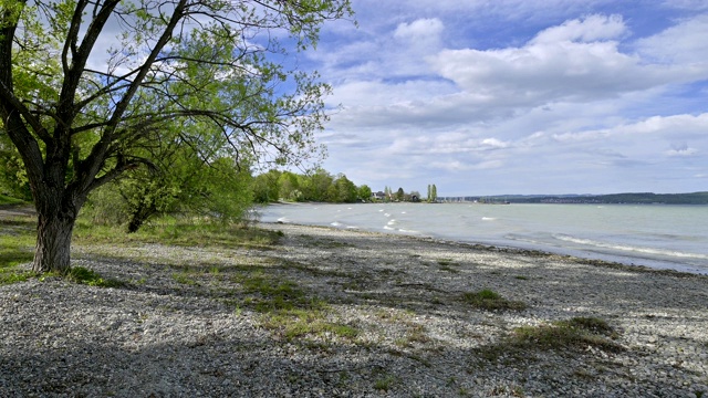 春天的湖岸，康斯坦茨，博登西，Baden-Württemberg，德国视频素材