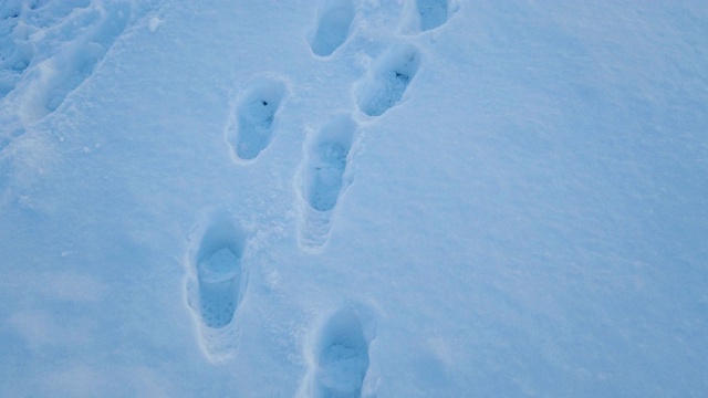 4K脚印踩在雪地上视频素材