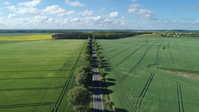 鸟瞰图的驾驶汽车在林木线的道路上通过农田，春天。Mecklenburg-Vorpommern、德国、欧洲。视频素材