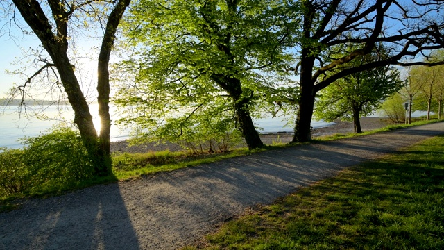 湖岸边的日出，波登泽，Baden-Württemberg，德国视频素材