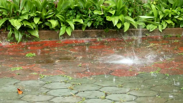 雨水滴落在地上视频素材