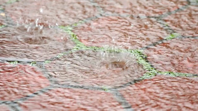 雨水滴落在地上视频素材