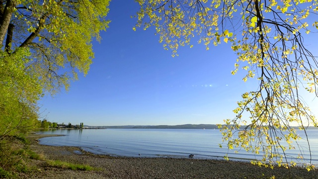 湖岸边的日出，波登泽，Baden-Württemberg，德国视频素材