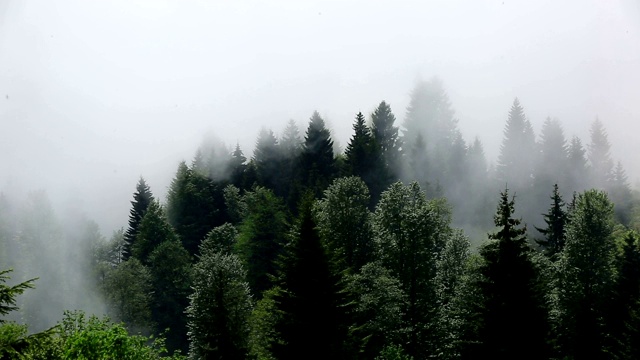 高山、高原和黑海的云朵之地视频素材