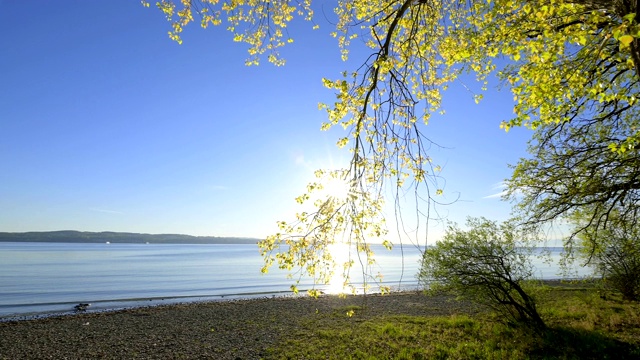 湖岸边的日出，波登泽，Baden-Württemberg，德国视频素材