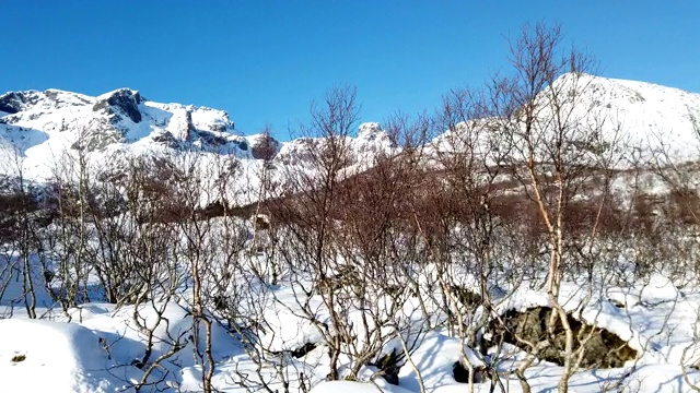 冬天在罗浮敦群岛的小山。挪威视频素材