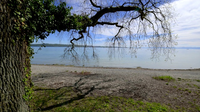 橡树湖畔，康斯坦茨，博登西，Baden-Württemberg，德国视频素材