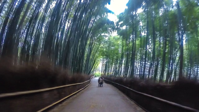 4K，日本京都的岚山竹林瞬间崩塌视频素材