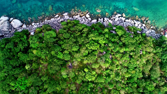 高空视角无人机拍摄的热带海洋与绿色的森林美丽的海滨视频素材