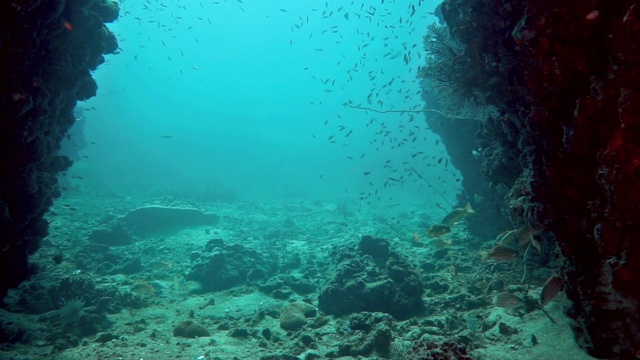 海底的水下洞穴视频素材