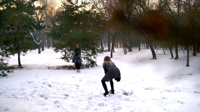 两个女人在打雪仗视频素材