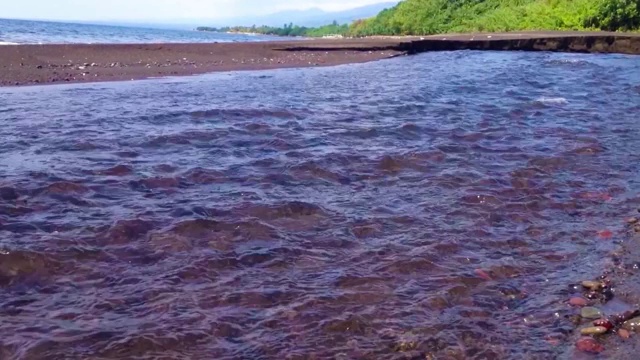 洁净新鲜的河滩水流动的热带海滩视频素材