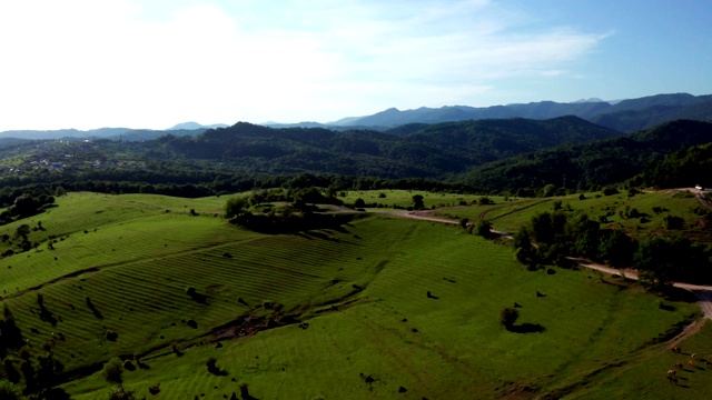 航拍视频拍摄。群山、田野的全景。蓝色的天空。高加索的性质。索契国家公园。从上往下看。视频素材