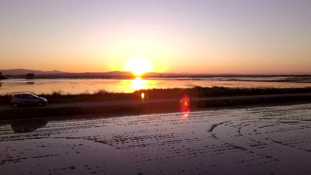 夕阳低空飞过淹没的稻田，掠过一辆汽车视频素材