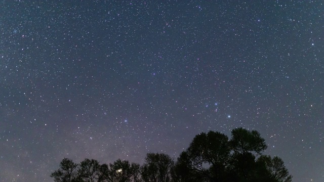 T/L, WS, TU，夜景的星星昼夜运动和白杨林在内蒙古，中国，亚洲。视频素材