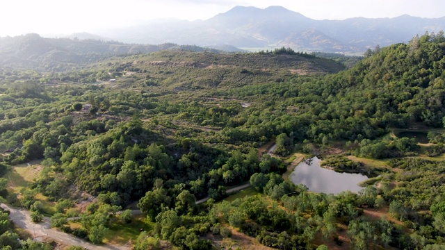 鸟瞰图的郁郁葱葱的山与树木在纳帕山谷在夏季。视频素材