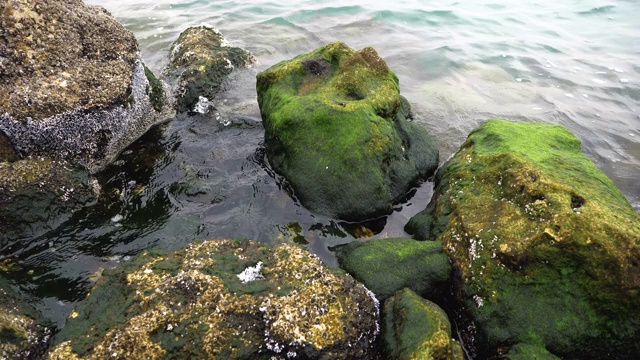 多哈滨海大道附近被海水和海浪覆盖的石头和岩石视频素材