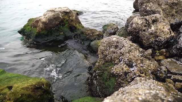 石头和岩石覆盖的水和海浪附近的多哈湾，多哈，卡塔尔，中东视频素材