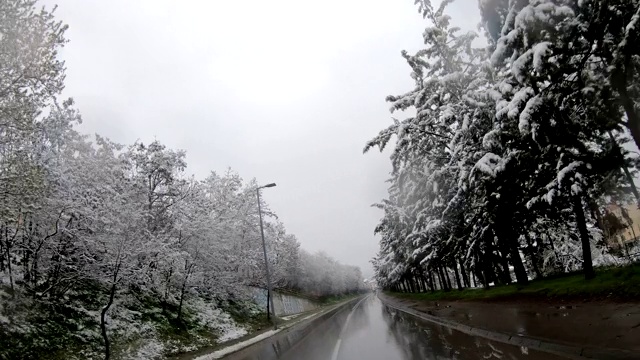 在空旷潮湿的街道上行驶在冬天的雾天气，路上的树木被雪覆盖视频素材