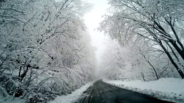 冬天开车行驶在松树和积雪之间的乡村道路上视频素材