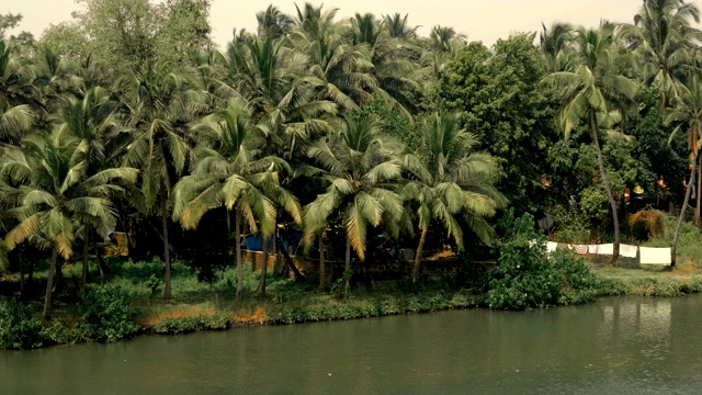 河岸上长满了棕榈树，河边的房子，印度果阿视频素材