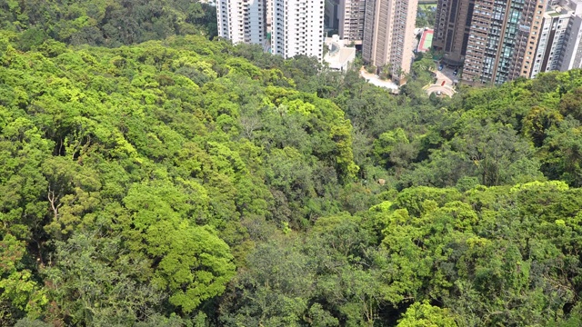 中国香港的城市视频素材