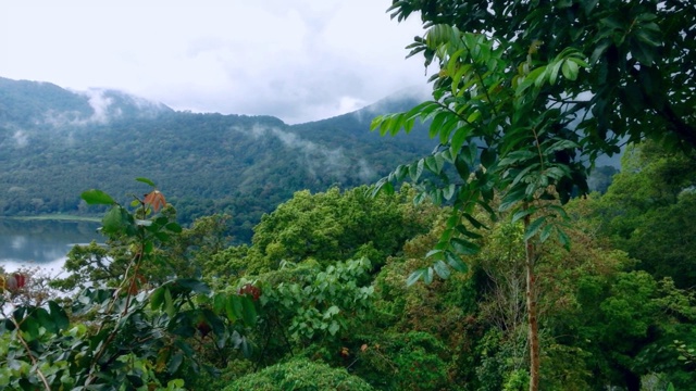 布颜湖的自然山湖风光和森林视频素材