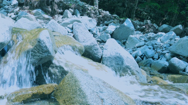 在神奈川县的西泽，溪水清冽，绿意盎然视频素材