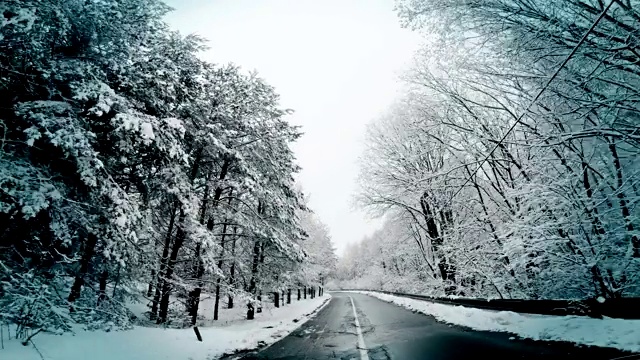 冬季，POV驾驶在乡村弯弯曲曲的雪道中，山间松树林视频素材