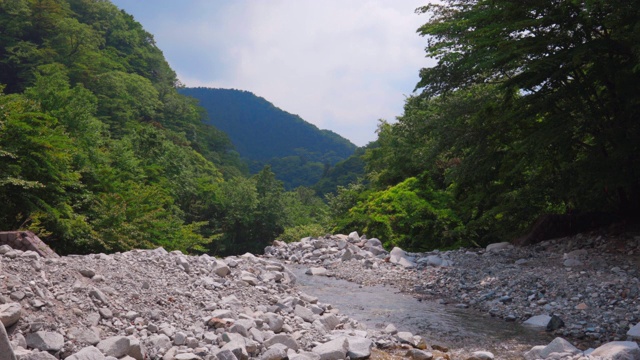 在神奈川县的西泽，溪水清冽，绿意盎然视频素材