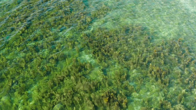 热带景观，蓝色的海洋和泻湖视频素材