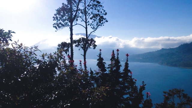 清晨的阳光照在布颜山湖的植物和树木上视频素材