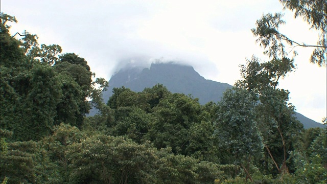 从维龙加国家公园眺望尼拉贡戈火山和低云视频素材