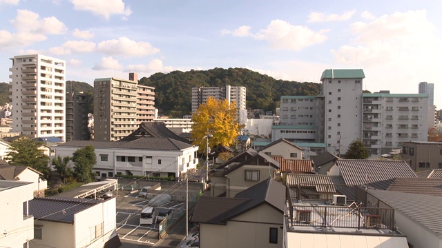 原子弹银杏树，广岛视频素材