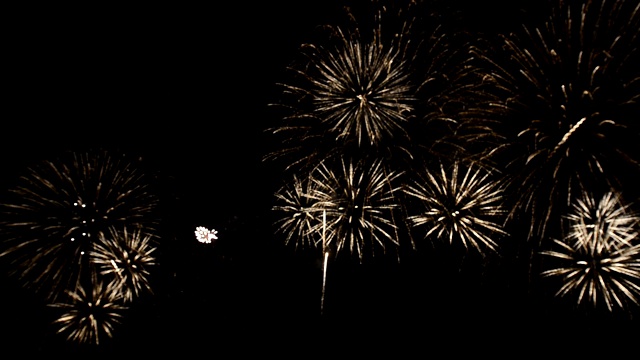 五颜六色的烟花在夜空中爆炸视频素材