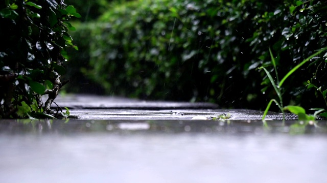 雨滴落在地面自然。视频素材