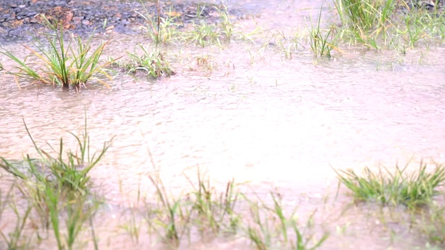 雨滴落在地面自然。视频素材